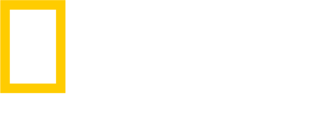 ng_learning_blackyellow_rgb